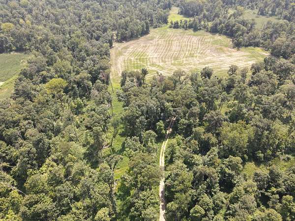 80 Acres of Recreational Land for Sale in Newton, Illinois