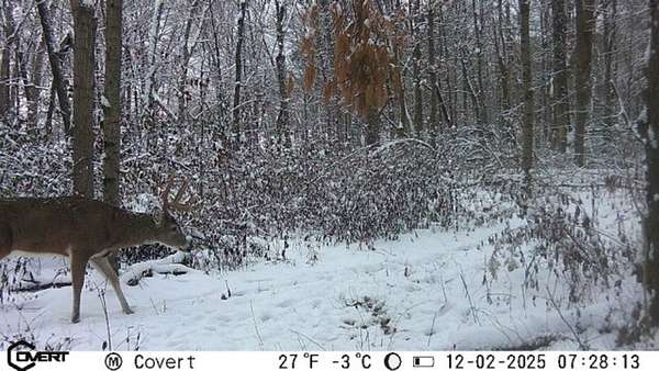 80 Acres of Recreational Land for Sale in Newton, Illinois