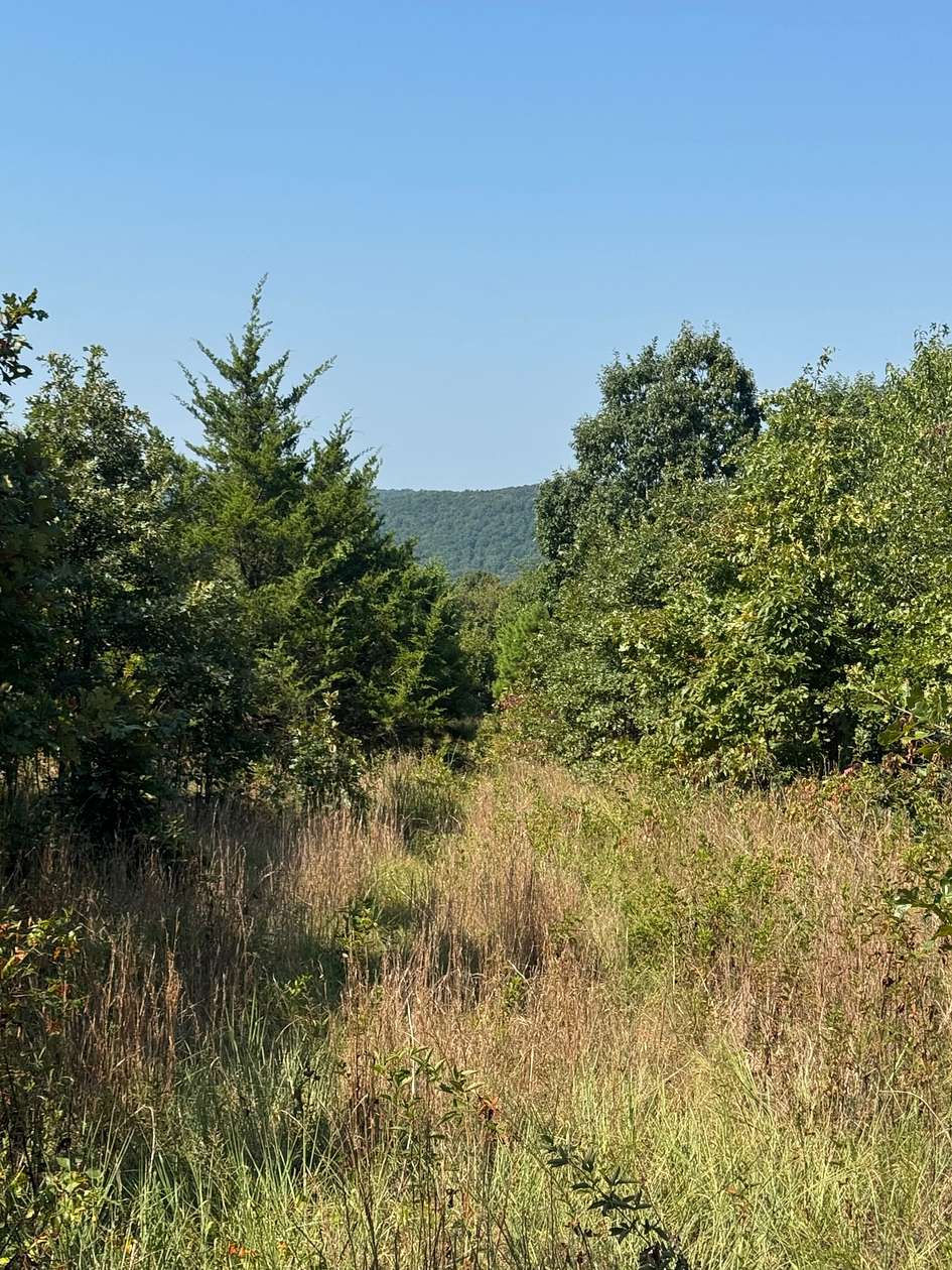 80 Acres of Recreational Land for Sale in Edgemont, Arkansas