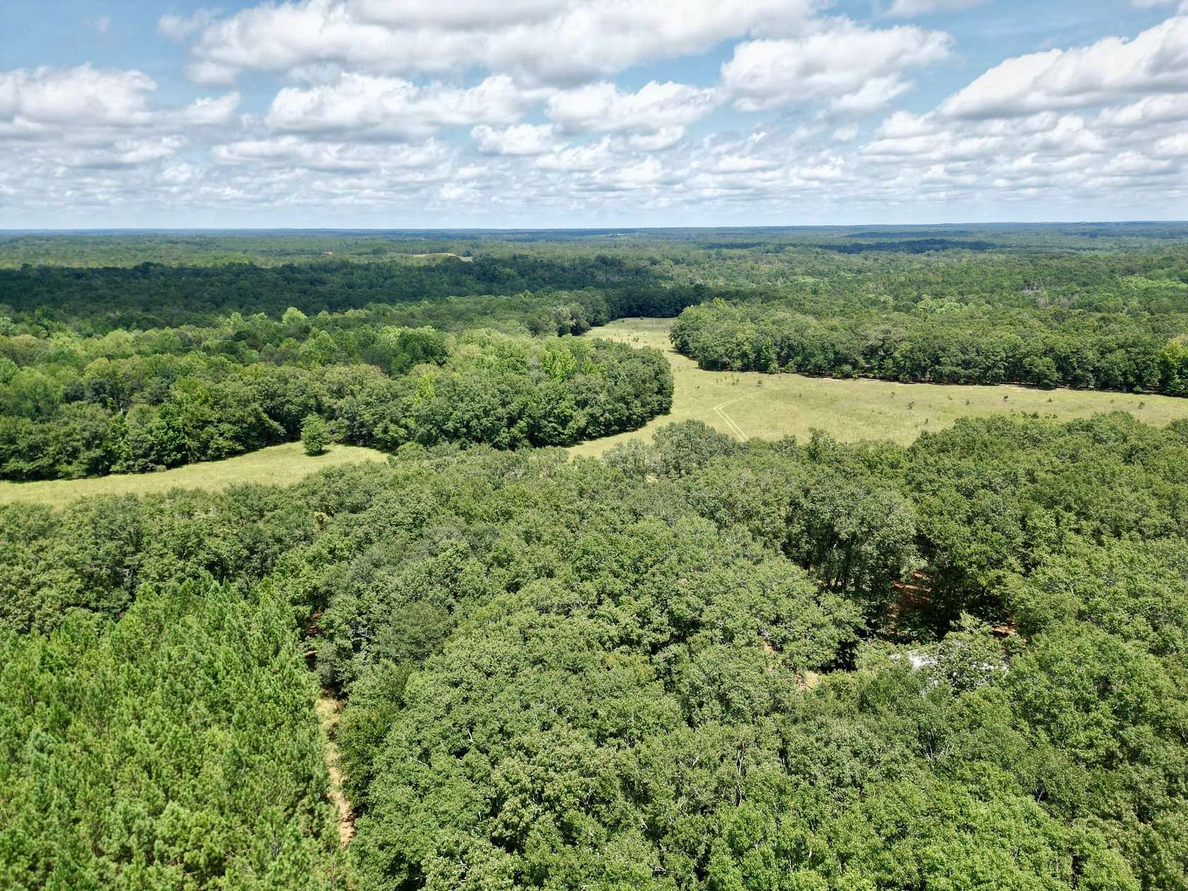 196 Acres of Improved Recreational Land & Farm for Sale in Cuthbert, Georgia