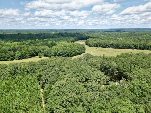 196 Acres of Improved Recreational Land & Farm for Sale in Cuthbert, Georgia