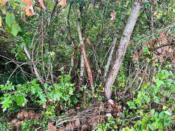 14.4 Acres of Recreational Land for Sale in Redstone, Pennsylvania