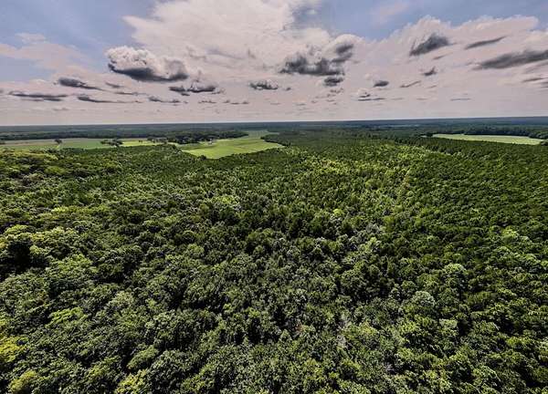 150 Acres of Recreational Land for Sale in Corapeake, North Carolina