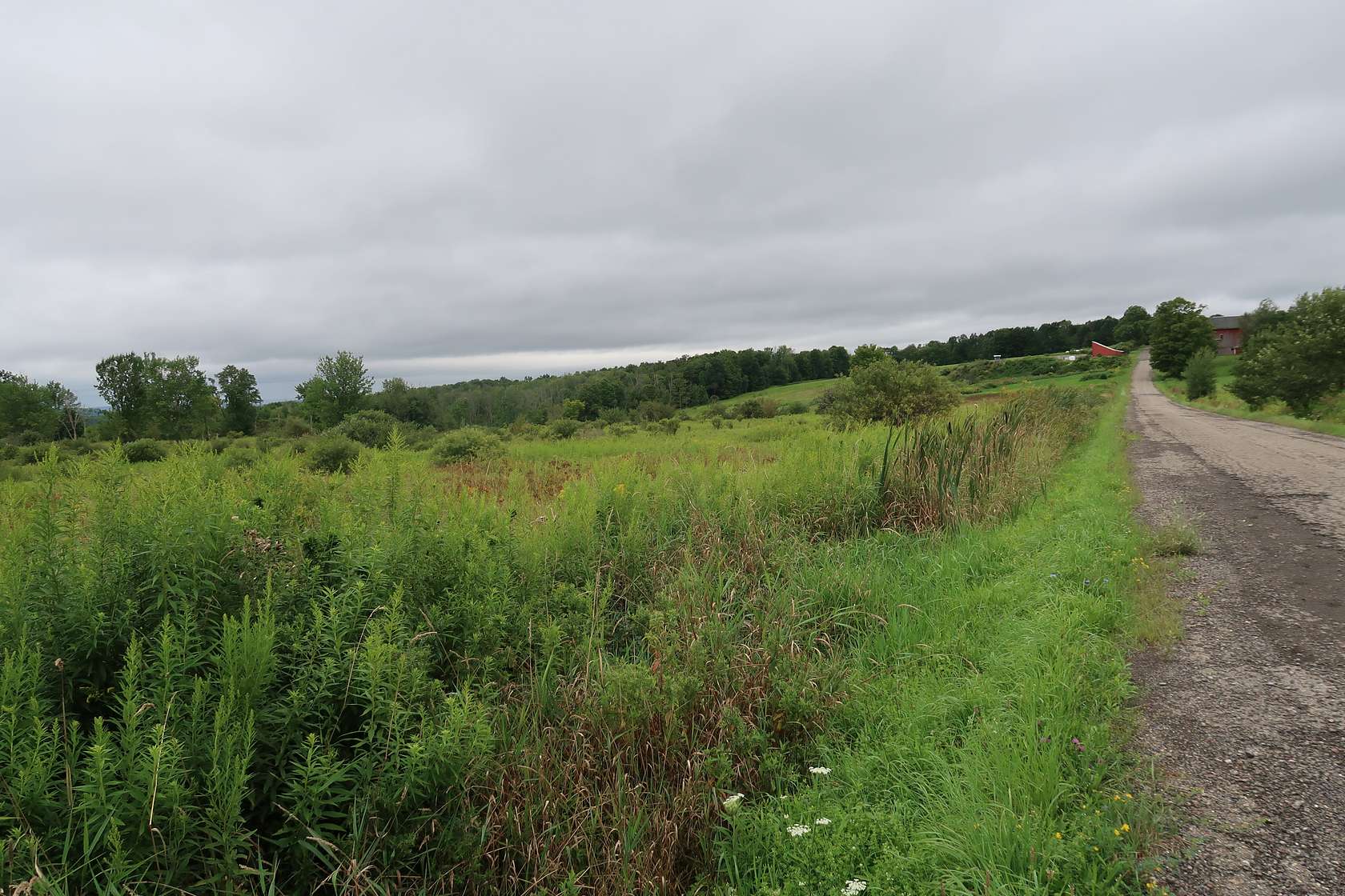 6.5 Acres of Land for Sale in Willet, New York