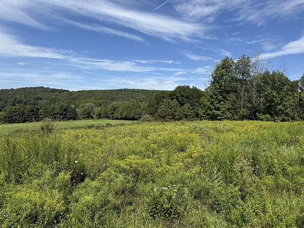 103 Acres of Agricultural Land with Home for Sale in Amenia, New York
