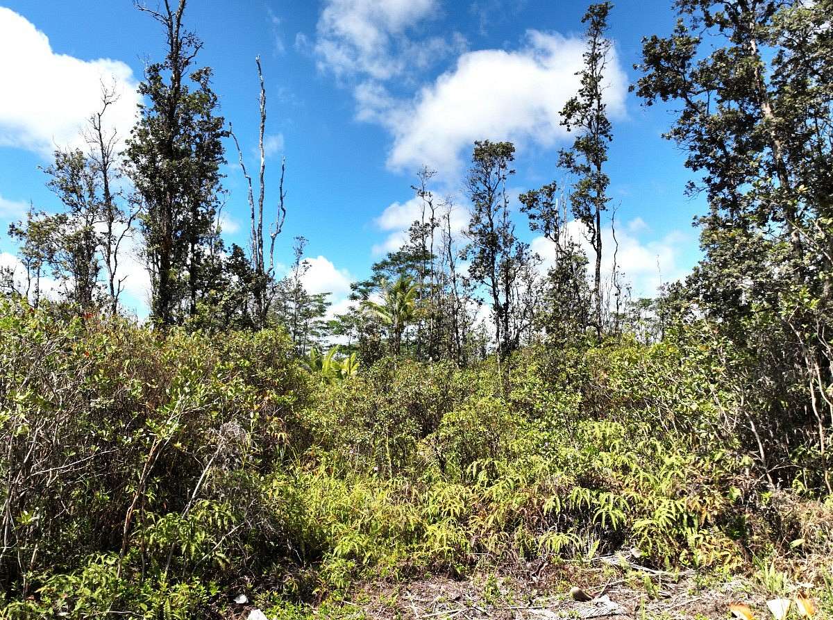 2 Acres of Land for Sale in Keaau, Hawaii