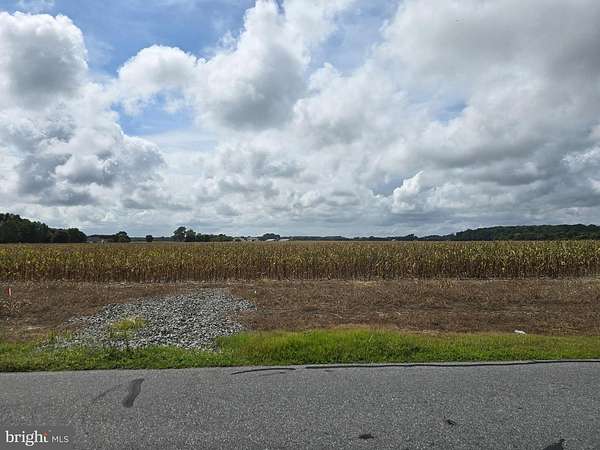 1 Acre of Residential Land for Sale in Dagsboro, Delaware