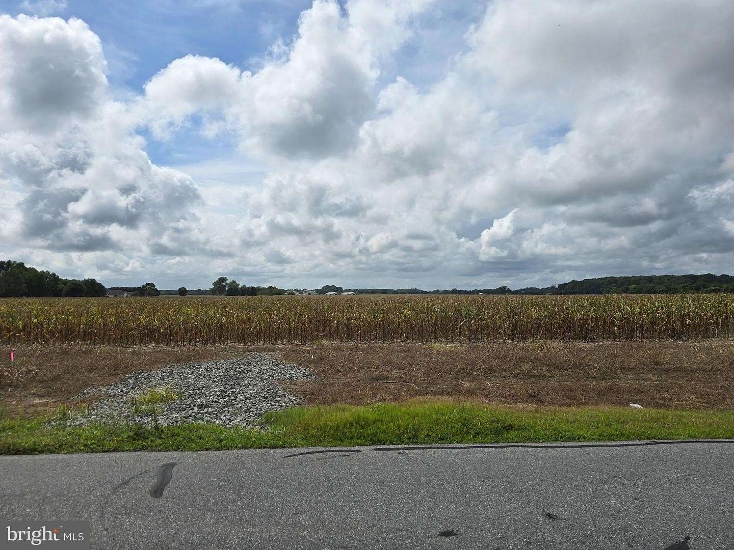 1 Acre of Residential Land for Sale in Dagsboro, Delaware