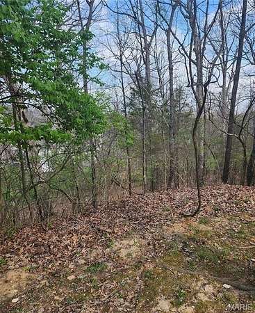 0.36 Acres of Residential Land for Sale in Meramec Township, Missouri