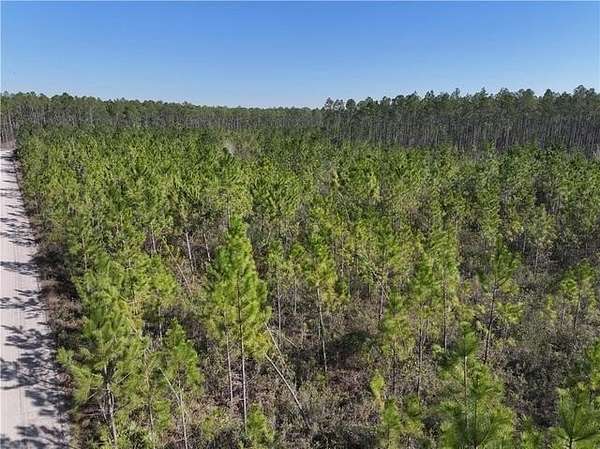 9.88 Acres of Residential Land for Sale in Odum, Georgia