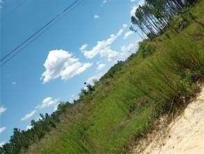 5.38 Acres of Residential Land for Sale in Baxley, Georgia