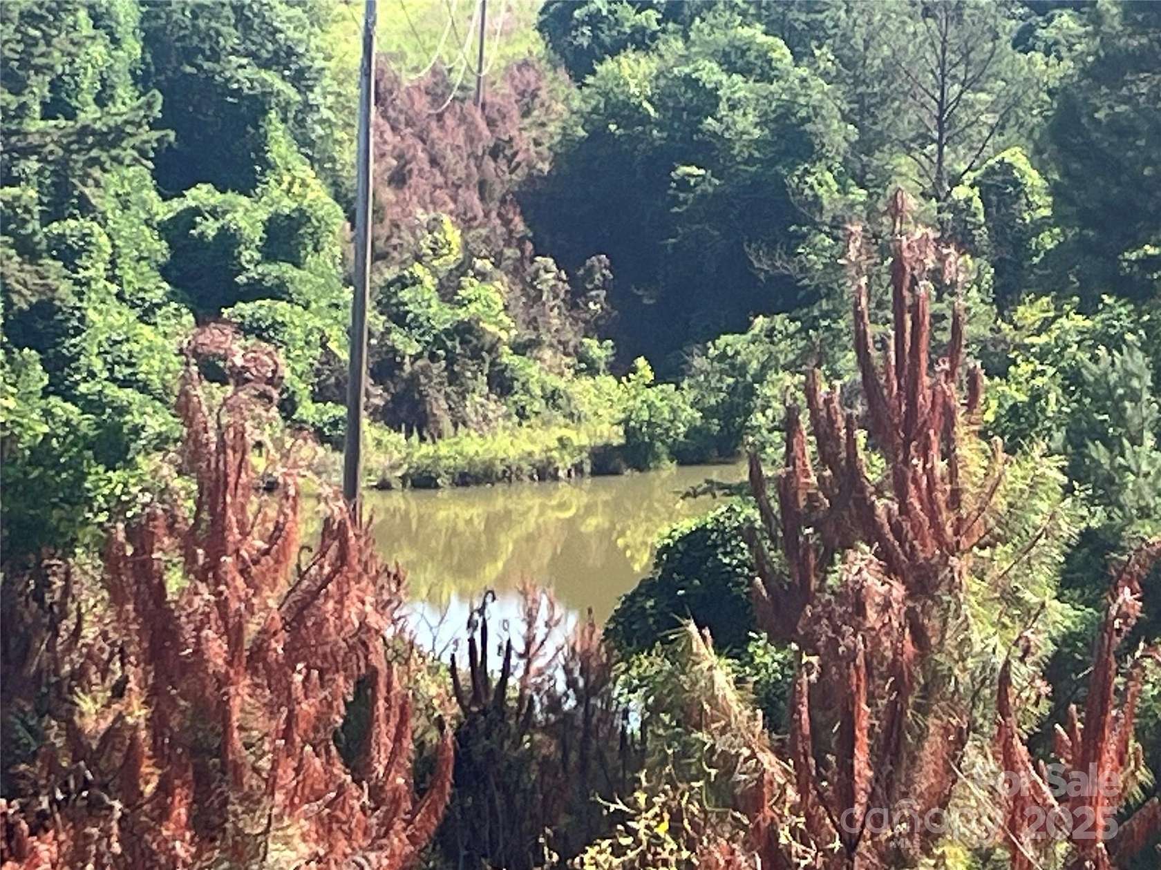 12.5 Acres of Land for Sale in Mill Spring, North Carolina