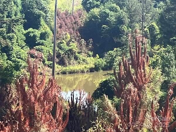 12.5 Acres of Land for Sale in Mill Spring, North Carolina