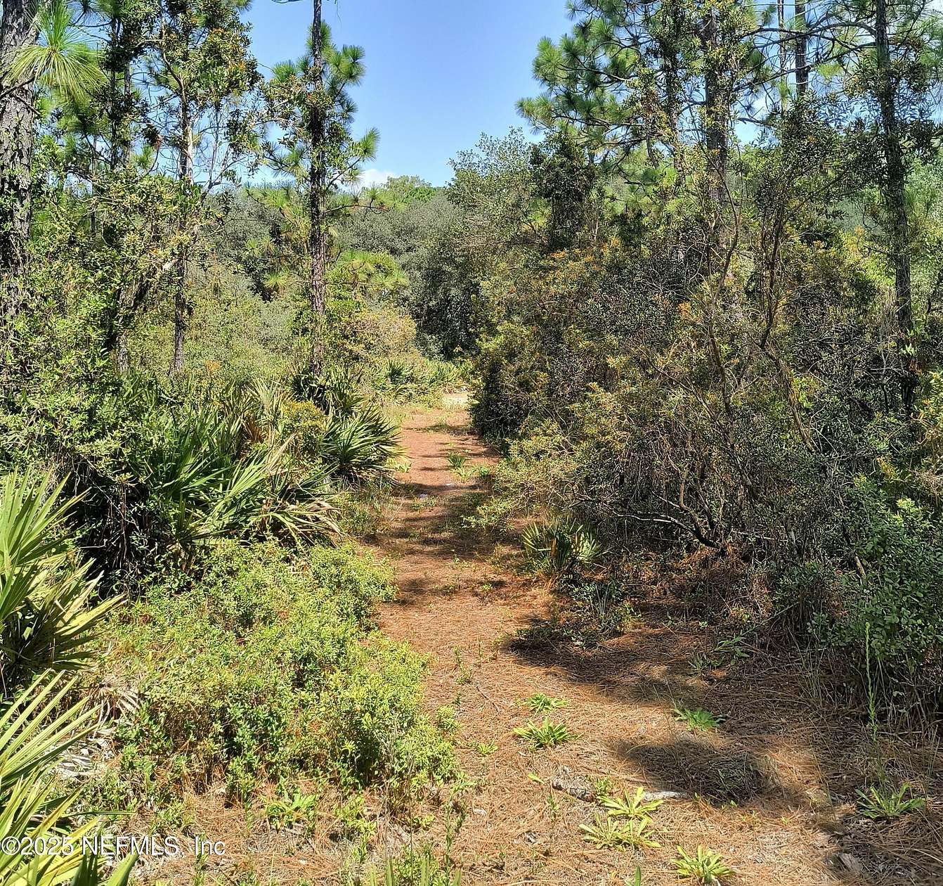 1.25 Acres of Land for Sale in Palatka, Florida