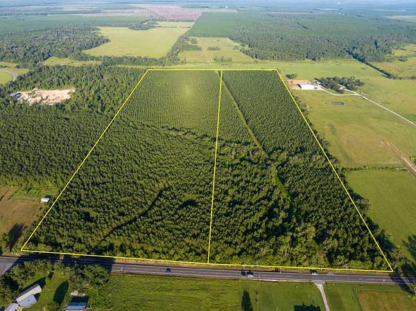 40.5 Acres of Recreational Land for Sale in DeQuincy, Louisiana