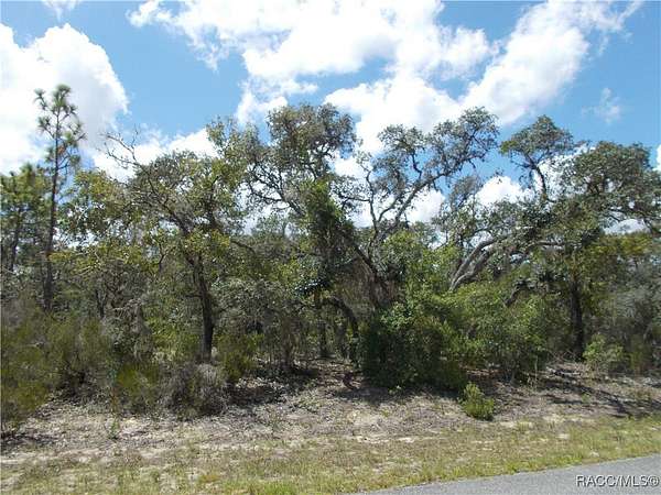 0.26 Acres of Residential Land for Sale in Citrus Springs, Florida