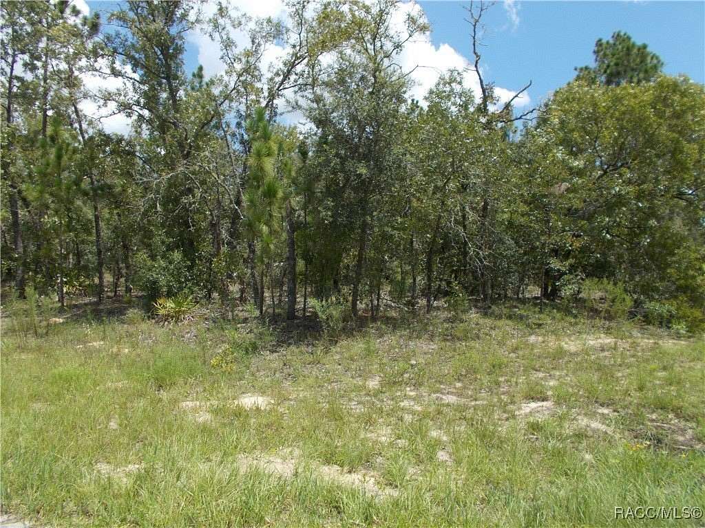 0.3 Acres of Residential Land for Sale in Citrus Springs, Florida