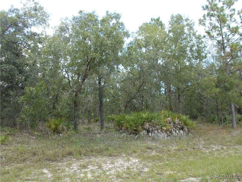 0.23 Acres of Residential Land for Sale in Citrus Springs, Florida