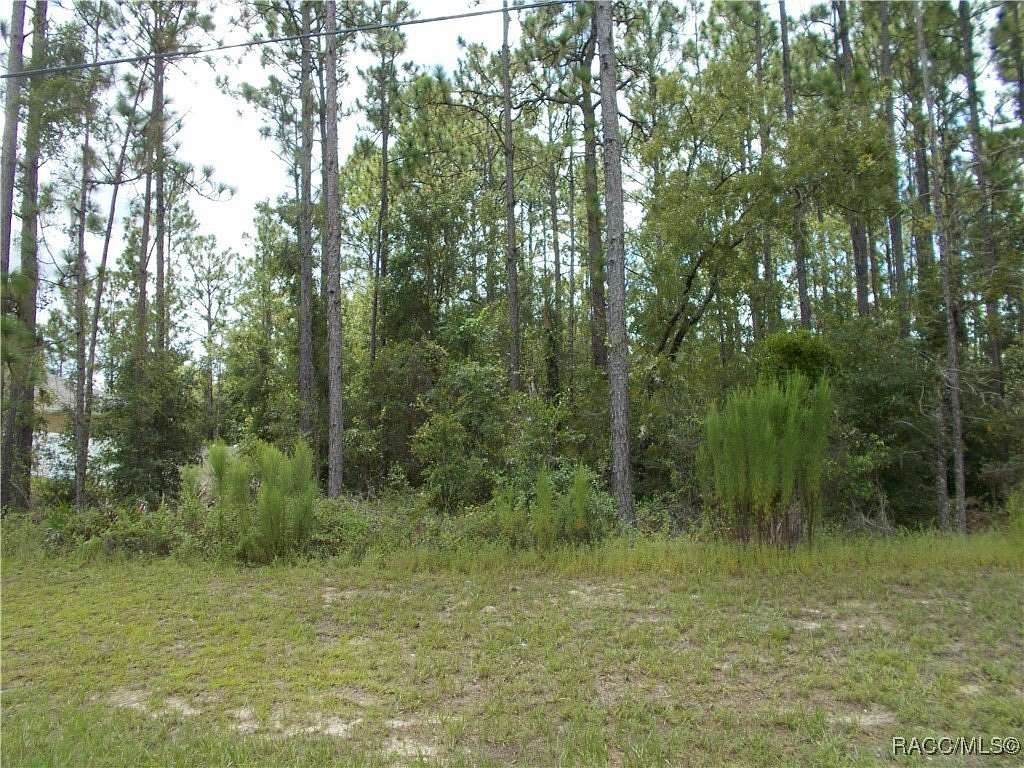 0.23 Acres of Residential Land for Sale in Citrus Springs, Florida