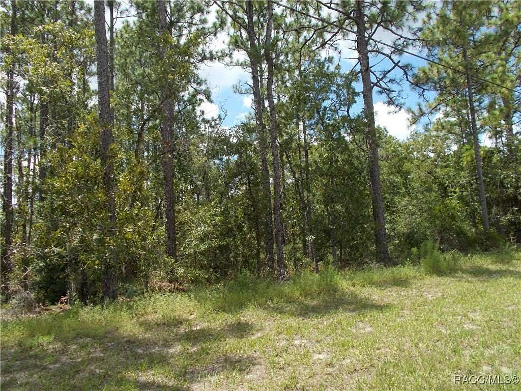 0.23 Acres of Residential Land for Sale in Citrus Springs, Florida
