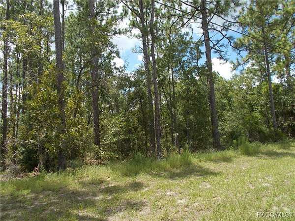 0.23 Acres of Residential Land for Sale in Citrus Springs, Florida