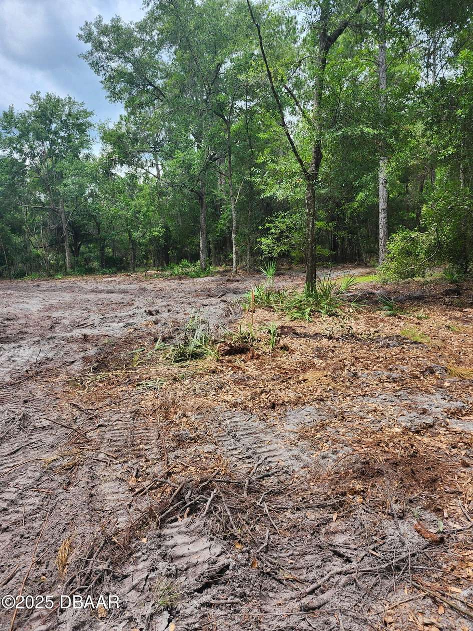 1.43 Acres of Residential Land for Sale in Georgetown, Florida