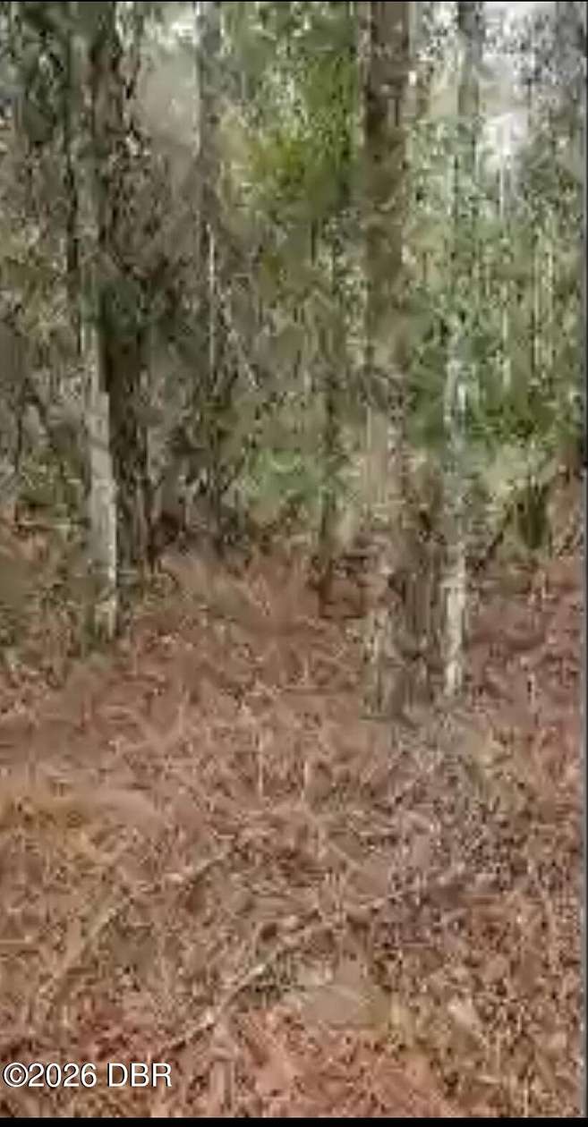 1.43 Acres of Residential Land for Sale in Georgetown, Florida