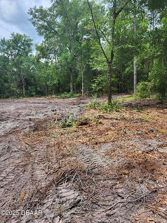 1.43 Acres of Residential Land for Sale in Georgetown, Florida