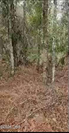1.43 Acres of Residential Land for Sale in Georgetown, Florida