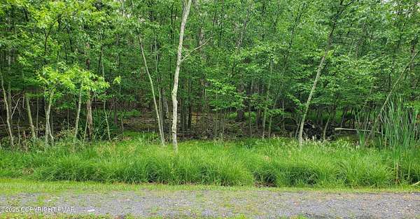 0.54 Acres of Residential Land for Sale in Tamiment, Pennsylvania