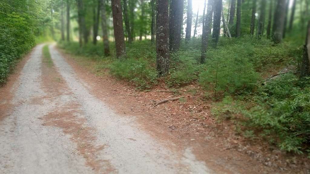 1.42 Acres of Land for Sale in Marion, Massachusetts