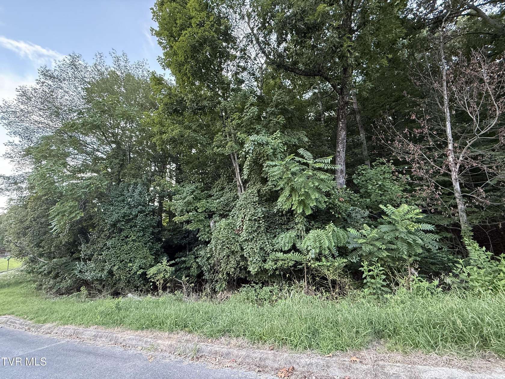 2.79 Acres of Residential Land for Sale in Kingsport, Tennessee