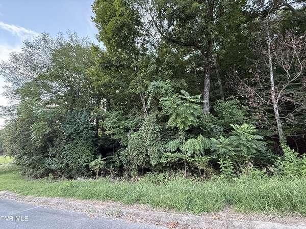 2.79 Acres of Residential Land for Sale in Kingsport, Tennessee