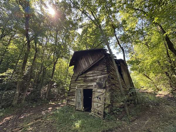 9.26 Acres of Residential Land for Sale in Palmyra, Tennessee