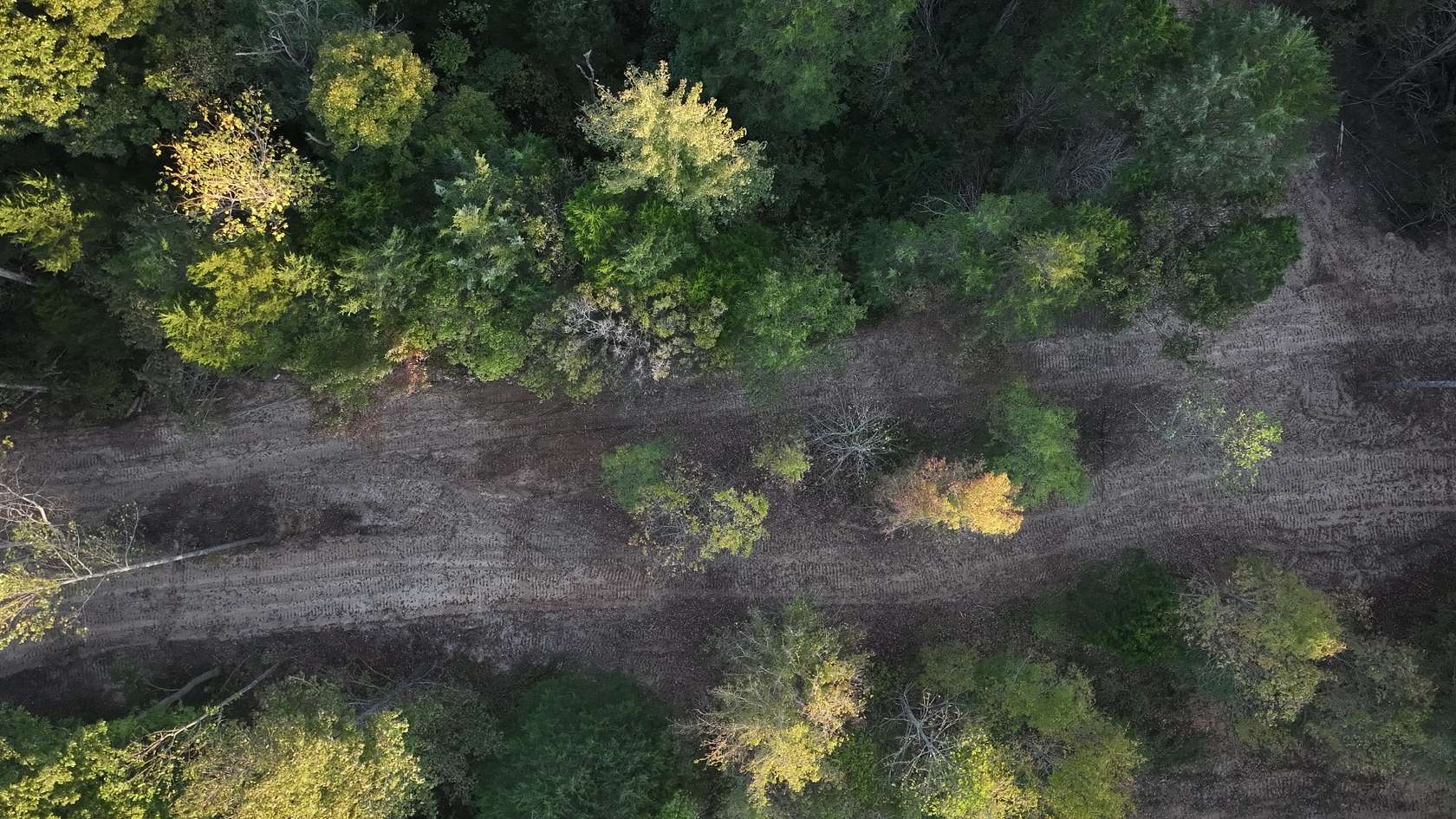 7 Acres of Residential Land for Sale in Palmyra, Tennessee