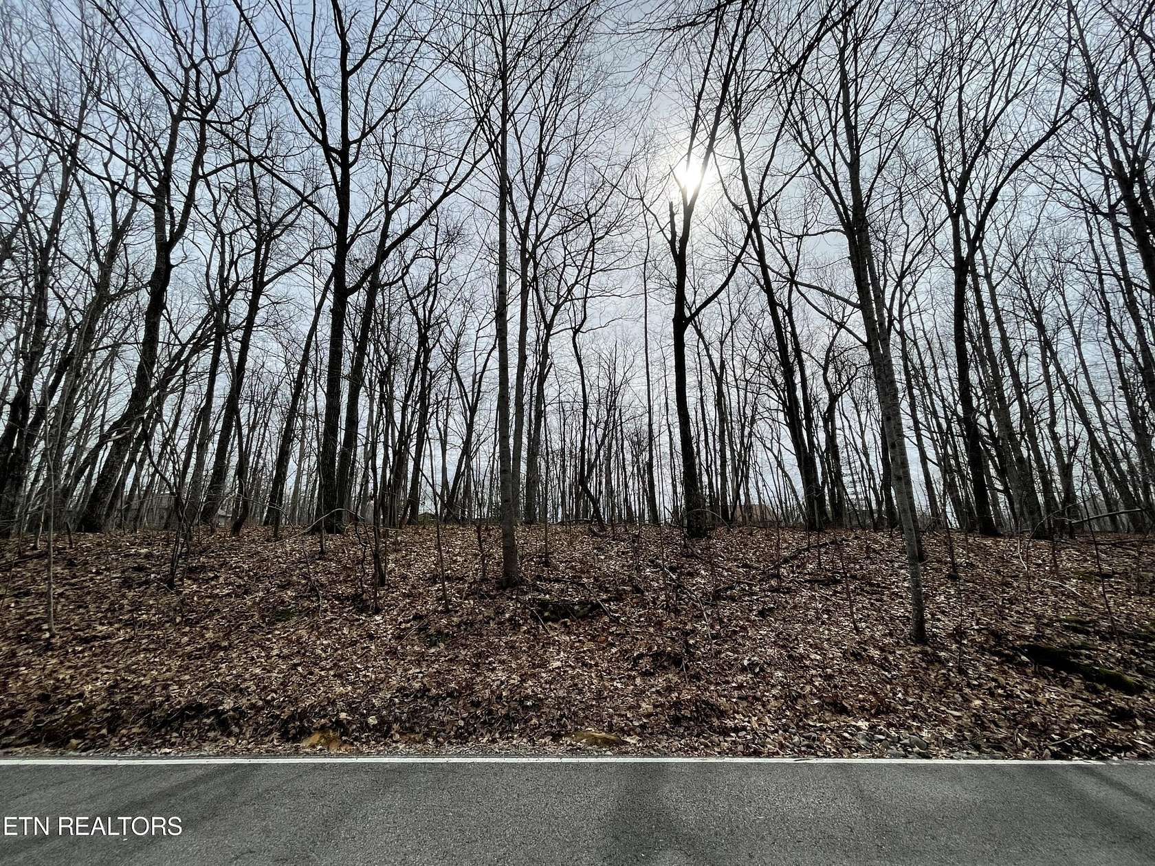 0.25 Acres of Land for Sale in Crossville, Tennessee