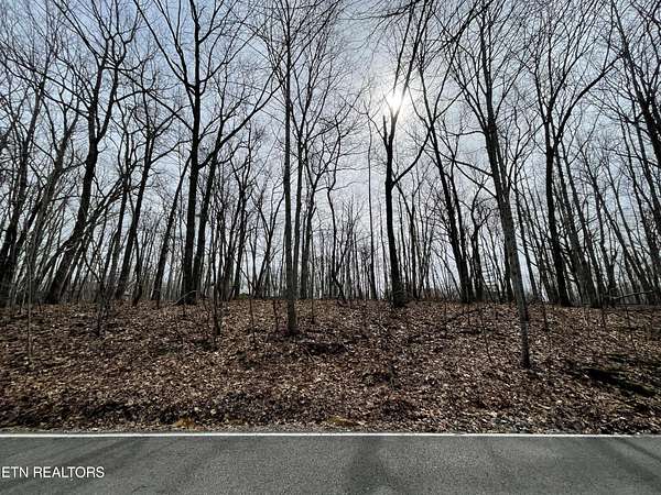 0.25 Acres of Land for Sale in Crossville, Tennessee