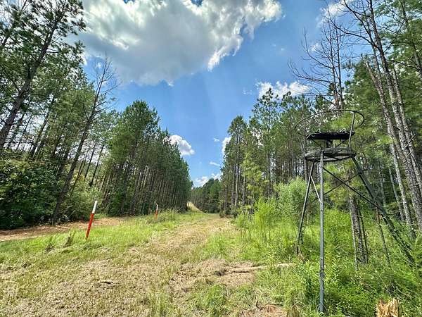 159 Acres of Recreational Land for Sale in Hazlehurst, Mississippi