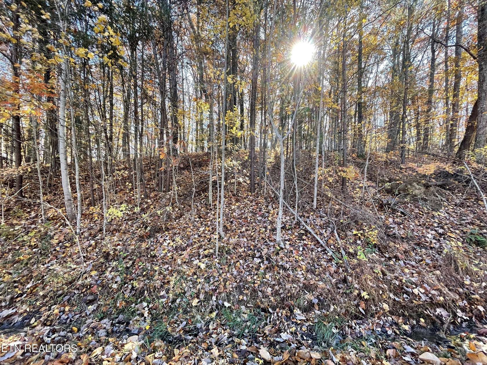 0.76 Acres of Residential Land for Sale in Crossville, Tennessee