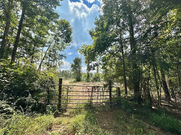 79 Acres of Recreational Land for Sale in Hazlehurst, Mississippi