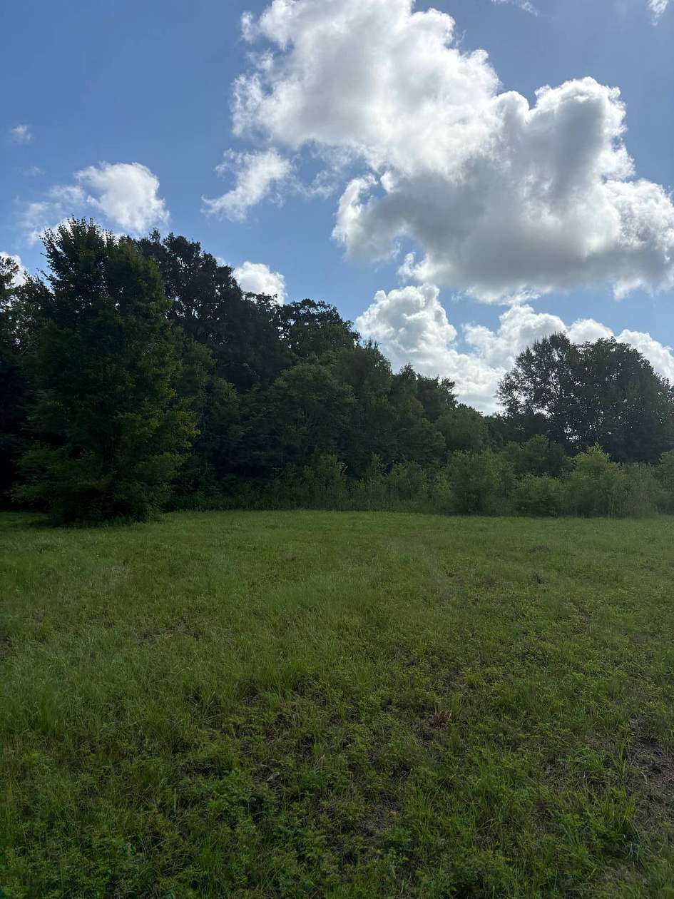 52.6 Acres of Recreational Land for Sale in Sunset, Louisiana