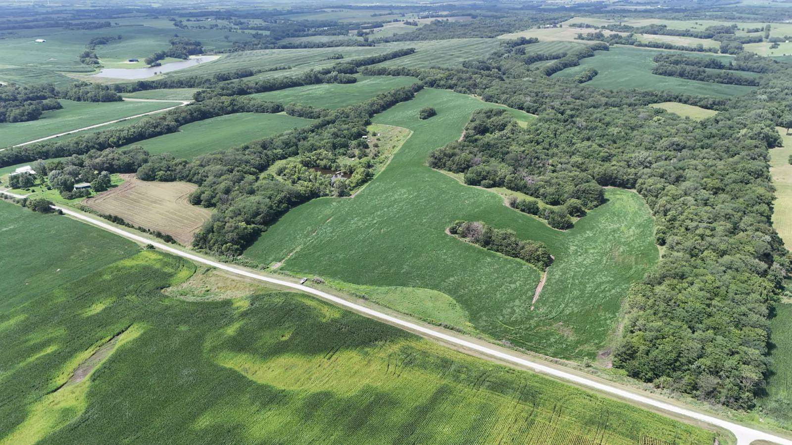 53 Acres of Land for Sale in Maysville, Missouri