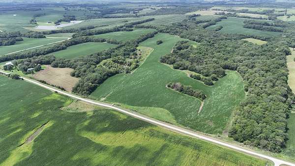 53 Acres of Land for Sale in Maysville, Missouri