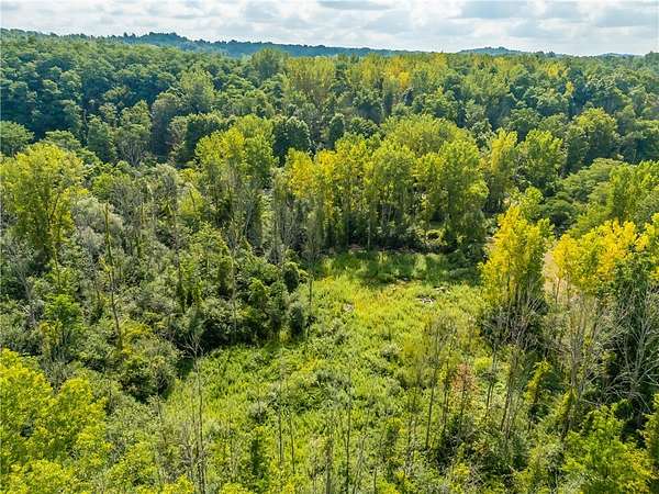 2.77 Acres of Residential Land for Sale in Newark, New York