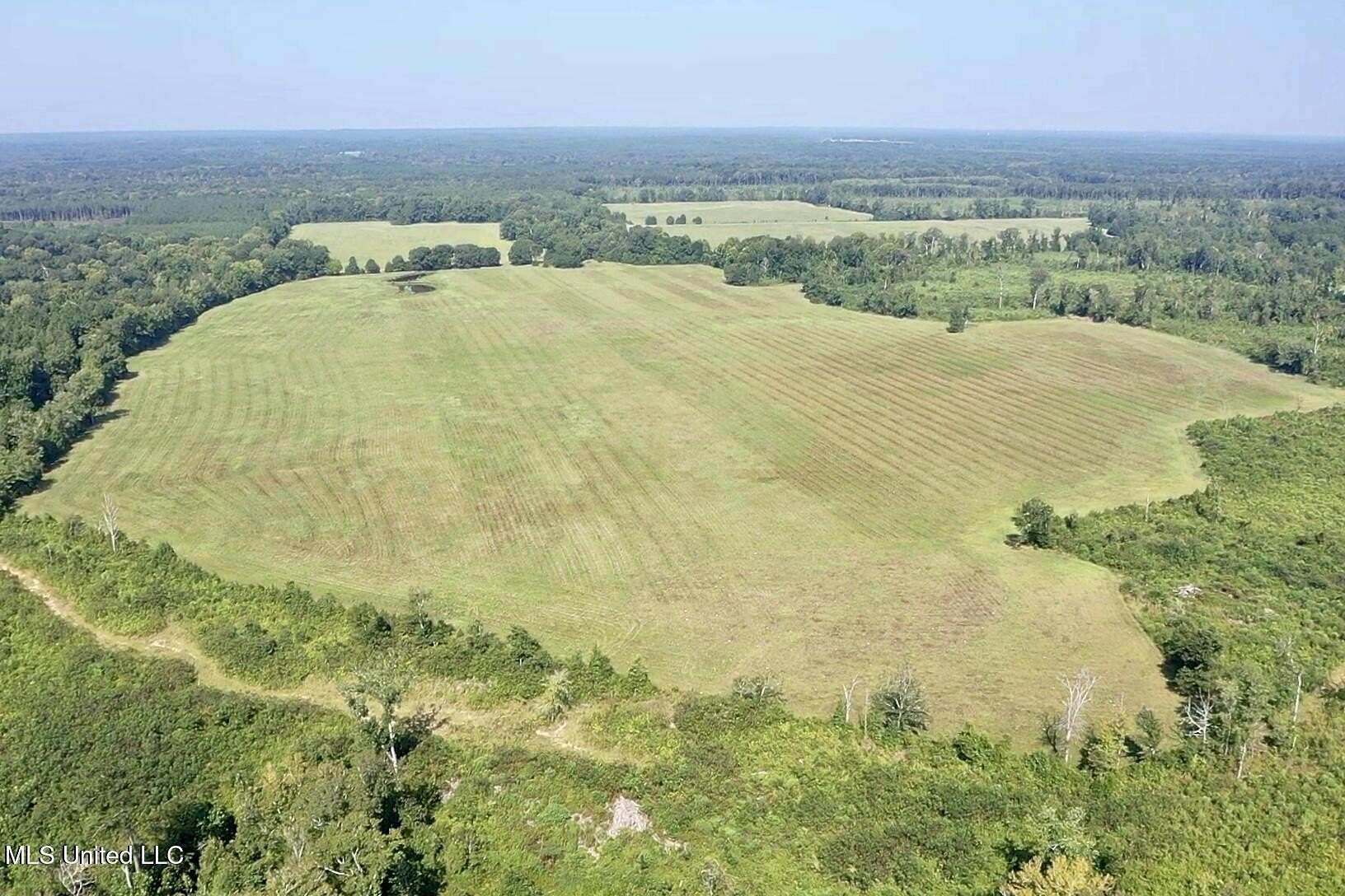 373 Acres of Land for Sale in Florence, Mississippi