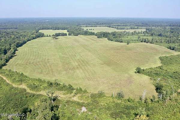 373 Acres of Land for Sale in Florence, Mississippi