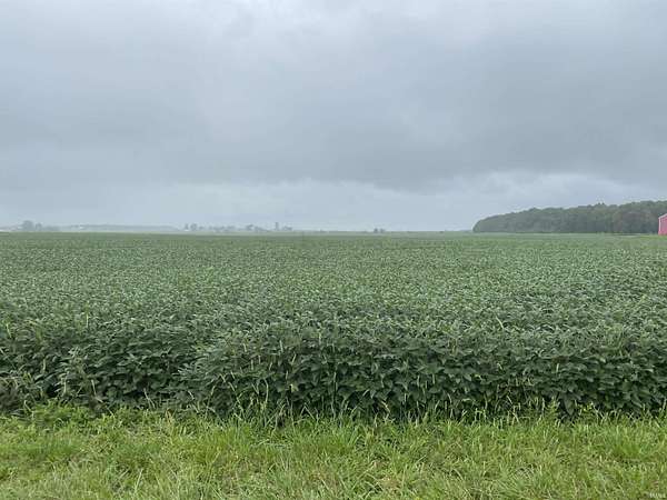 21 Acres of Recreational Land & Farm for Auction in Huntington, Indiana