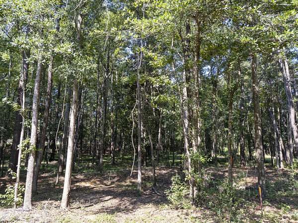5 Acres of Residential Land for Sale in Prentiss, Mississippi