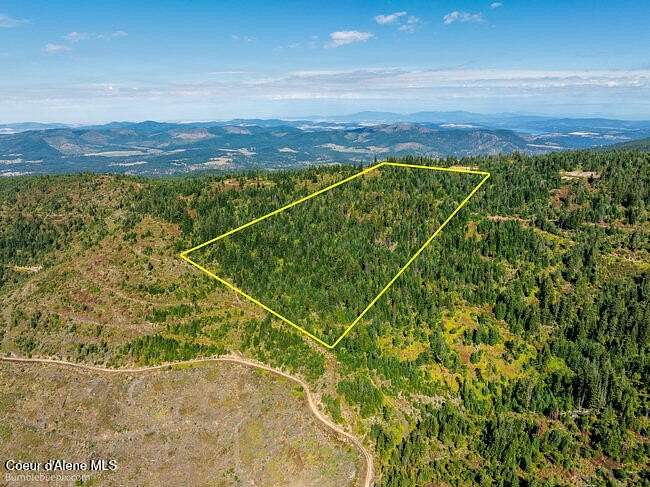 20 Acres of Land for Sale in St. Maries, Idaho