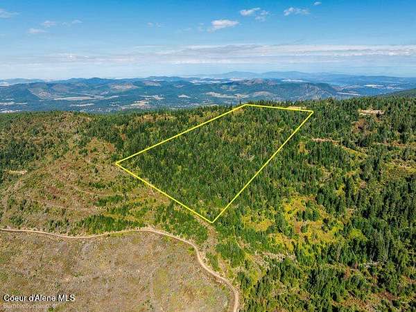20 Acres of Land for Sale in St. Maries, Idaho